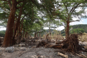 Fotografía de una zona afectada por las inundaciones este miércoles, en Kerville (Estados Unidos). EFE/ Octavio Guzmán