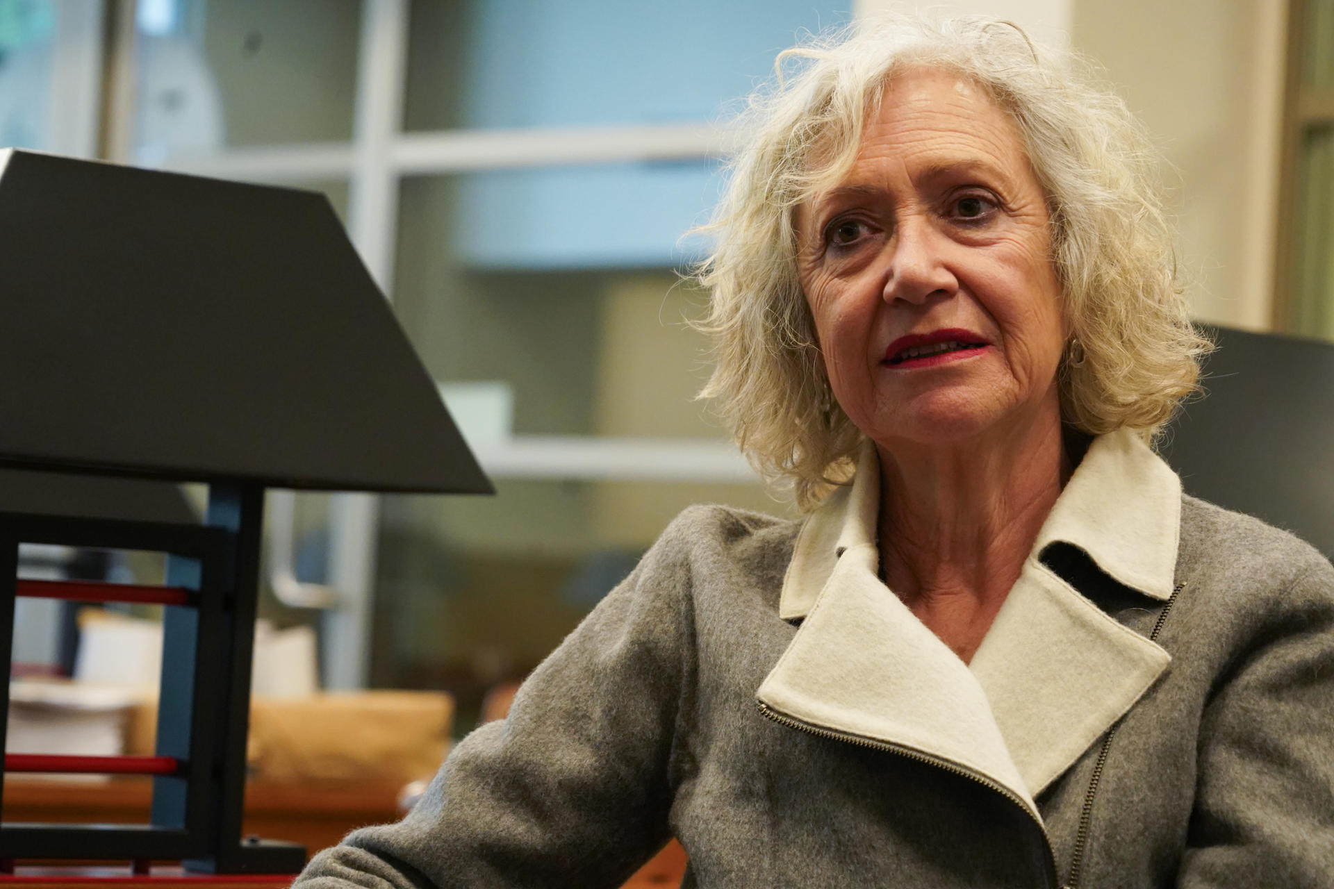 La presidenta de la Asociación Internacional de Hispanistas (AIH), Gloria Chicote, habla durante una entrevista con EFE este miércoles, en el marco del XXII Congreso de la AIH, en Santiago (Chile). EFE/ Alberto Peña