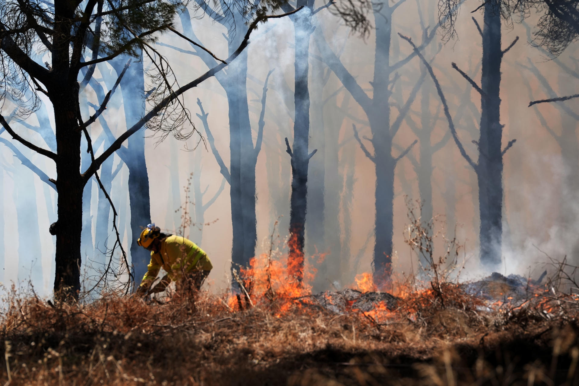 Efectivos del Infoca y del Consorcio Provincial de Bomberos trabajan en la extinción de un incendio en Chiclana de la Frontera (Cádiz) que ha obligado al desalojo preventivo de algunas viviendas, según han informado fuentes del Consorcio Provincial de Bomberos.EFE/Román Ríos