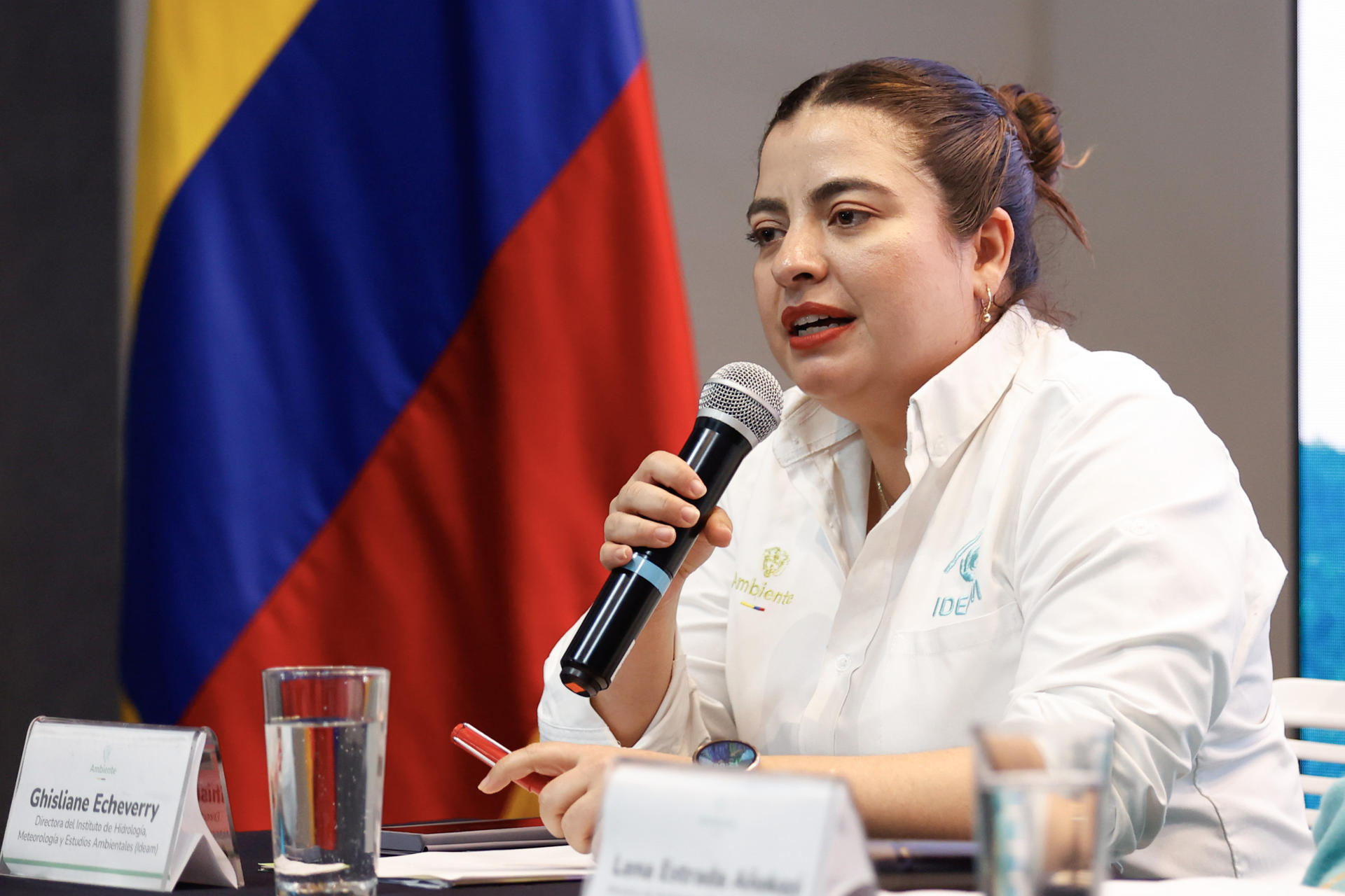 La directora del Instituto de Hidrología, Meteorología y Estudios Ambientales (Ideam), Ghisliane Echeverry, habla durante la presentación de los datos de deforestación en el país en 2024 este jueves, en Bogotá (Colombia). EFE/ Mauricio Dueñas Castañeda