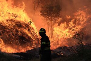 Vista desde la localidad de Aldeia Joao Pires, de la columna de humo del incendio declarado el lunes por la tarde en la zona de Penamacor, y en cuya extinción trabajan 505 efectivos, 149 vehículos y cinco medios aéreos. EFE/ Carlos García