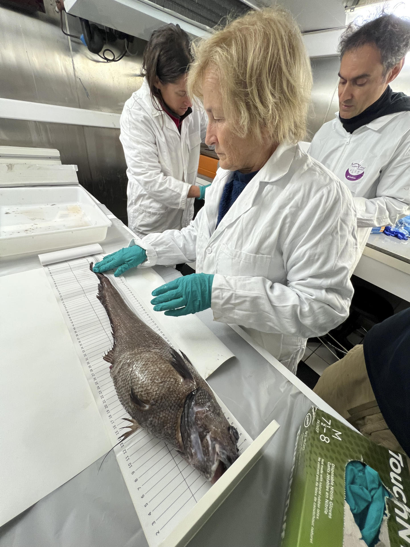 Muestreo y estudio en el laboratorio de frío del Atalante de un pez de aguas profundas (Granadero) capturado en una jaula. Las aguas del Atlántico, a 600 kilómetros de la costa gallega, esconden un vertedero con más de 200.000 bidones con residuos radiactivos vertidos durante casi cuatro décadas que ahora estudia una misión científica francesa, mapeando el fondo marino y que ya ha localizado más de 2.000 barriles.EFE/ J. Escartin/Flota Oceanográfica Francesa - Campaña Nodssum SOLO USO EDITORIAL/SOLO DISPONIBLE PARA ILUSTRAR LA NOTICIA QUE ACOMPAÑA (CRÉDITO OBLIGATORIO)
