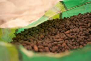 Ecuador se consolida como referente mundial en producción sostenible y libre de deforestación tras sumar al cacao, los lácteos y la guayusa a su oferta de alimentos. EFE/Programa de las Naciones Unidas para el Desarrollo (PNUD)