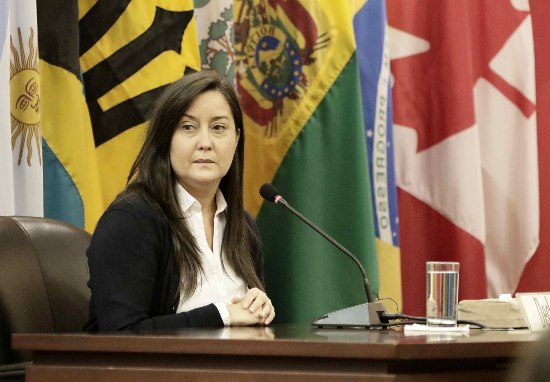 Fotografía de archivo de la presidenta de la ONG Control Ciudadano, Rocío San Miguel. EFE/Jeffrey Arguedas