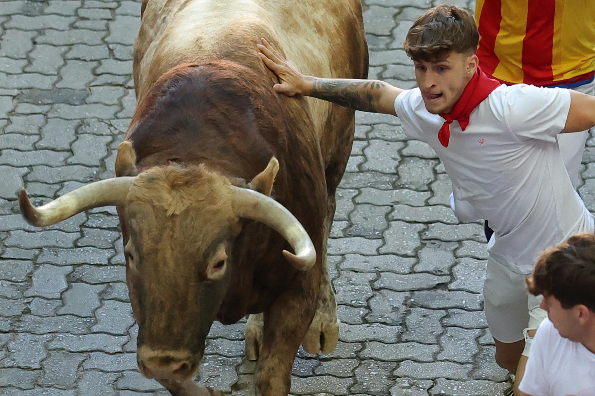 Un mozo corre junto a uno de los toros de la ganadería Victoriano del Río Cortés durante el cuarto encierro de los Sanfermines, este jueves, en Pamplona. EFE/J.P. Urdiroz