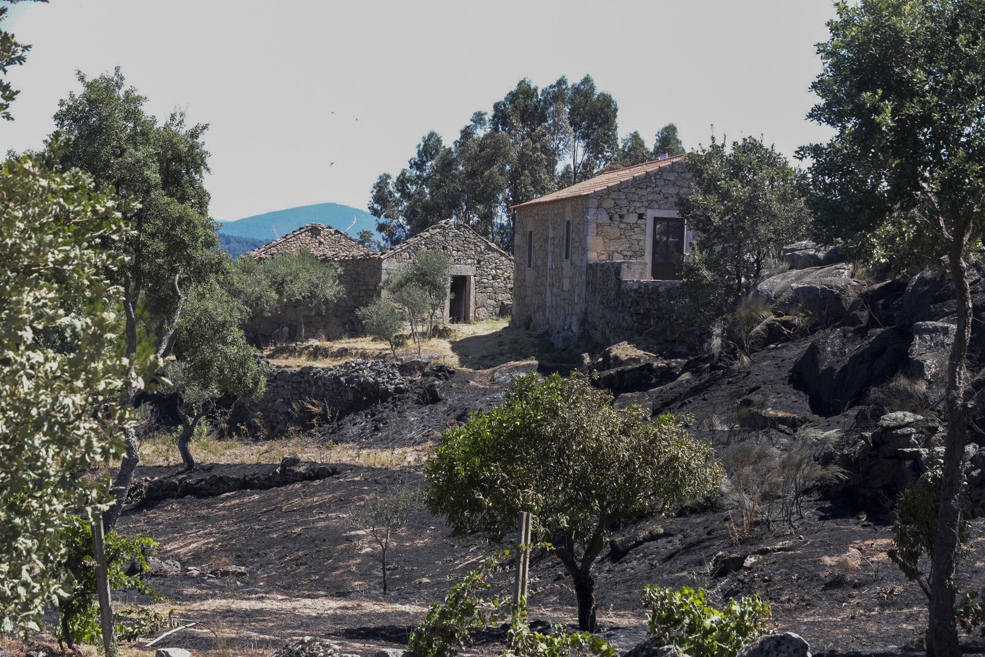 El pueblo de Aldeia do Bispo, concejo de Penamacor calcinado por el incendio de la localidad portuguesa próxima a Cáceres que se declaró ayer. En la lucha contra el fuego trabajan 394 efectivos y 139 vehículos para lograr su extinción. EFE/ Carlos García