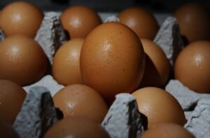 Una imagen de archivo de huevos. EFE/LARRY W. SMITH
