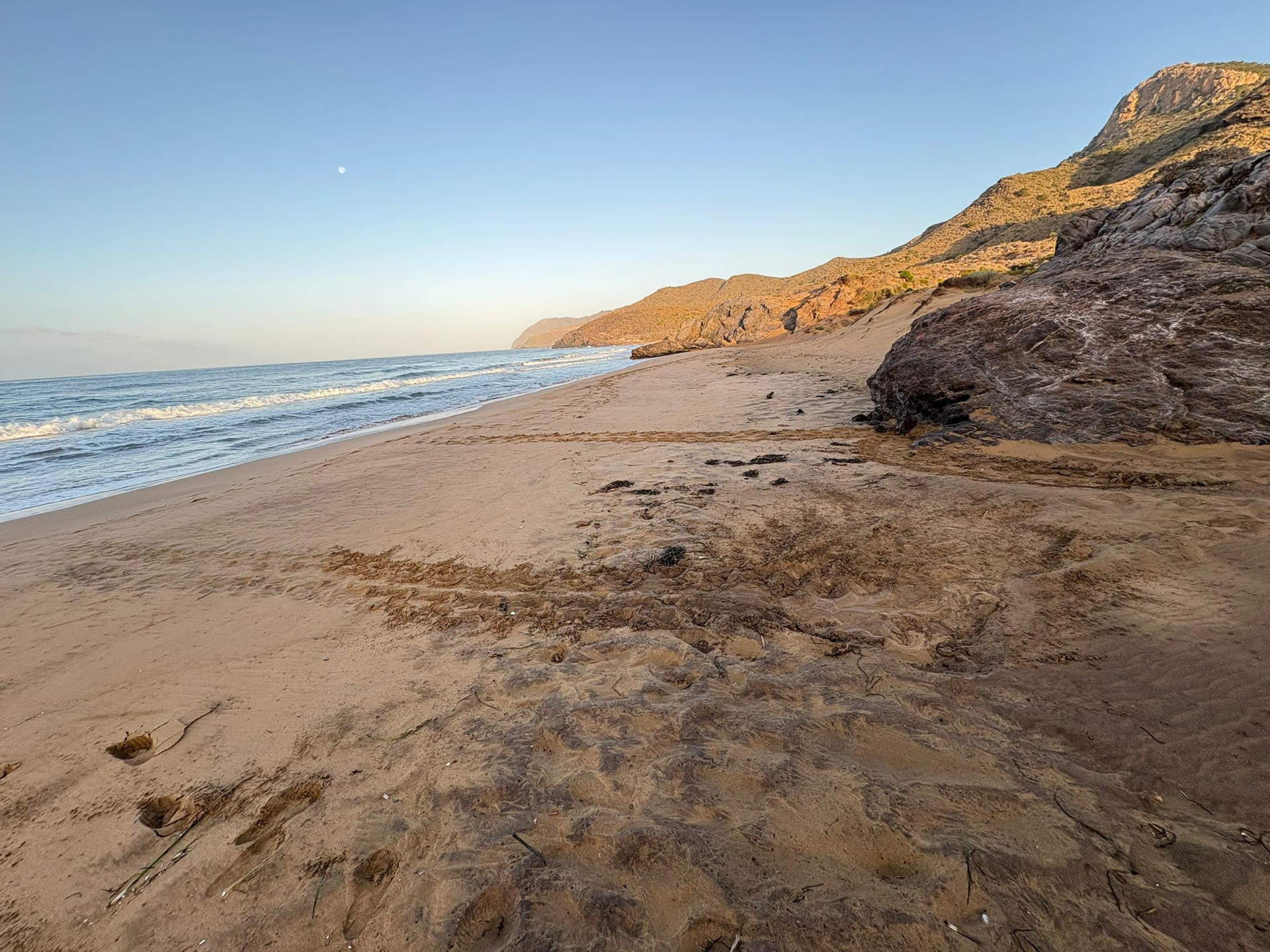 Agentes medioambientales han confirmado la localización de un nuevo nido de tortuga boba en el Parque Regional de Calblanque, Región de Murcia, según ha informado este domingo la Comunidad Autónoma. Este sería el tercer año consecutivo en que esta especie amenazada elige el área para desovar, consolidando el litoral murciano como un punto crucial para su reproducción. La puesta, localizada esta madrugada por un particular que alertó a los agentes medioambientales, contiene 75 huevos. Según informaron las autoridades, el nido será trasladado a una zona más segura dentro del Parque Regional para garantizar su desarrollo óptimo.-EFE/ Comunidad Autónoma de Murcia ***SOLO USO EDITORIAL/SOLO DISPONIBLE PARA ILUSTRAR LA NOTICIA QUE ACOMPAÑA (CRÉDITO OBLIGATORIO)***