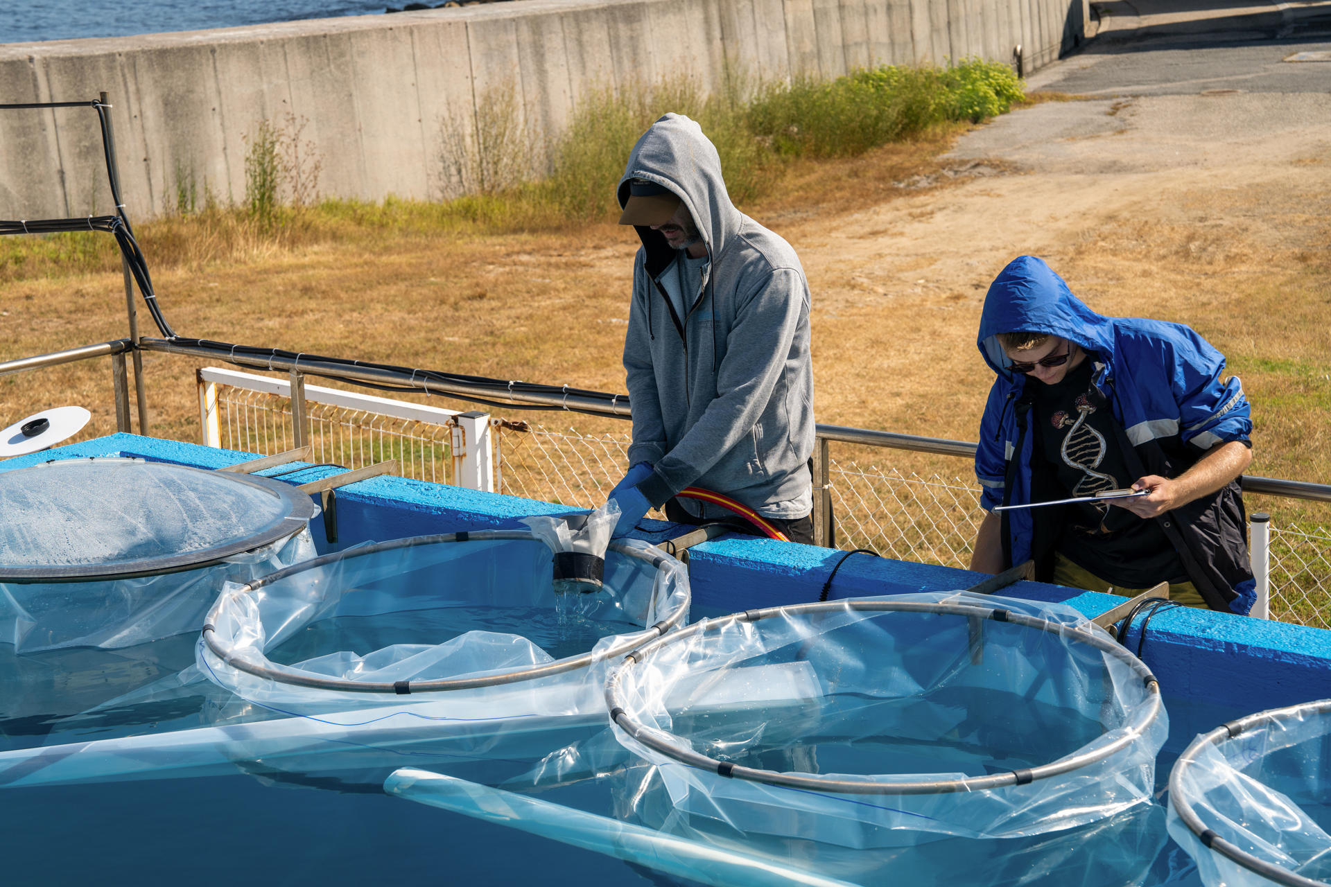 'Cellbloom' es el nombre del proyecto conjunto entre el Laboratorio Europeo de Biología Molecular y el Centro de Investigación Marina de la Universidad de Vigo que este lunes se presenta con la pretensión de estudiar los efectos de las olas de calor en el océano y cómo frenar las mareas rojas provocadas por la proliferación de algas tóxicas. EFE/ Salvador Sas