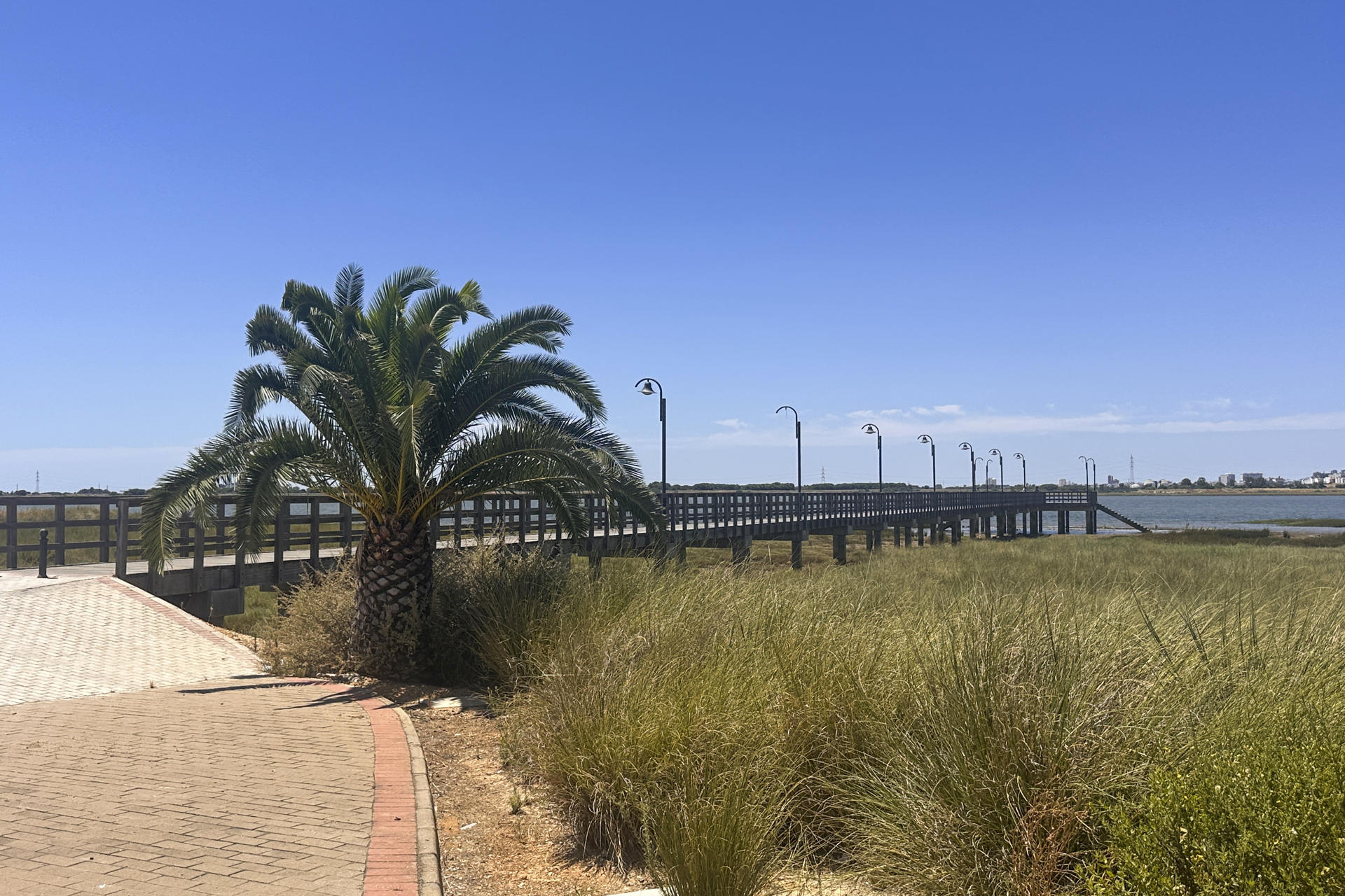 Vista del lugar en el que ha sido hallado el cuerpo sin vida de una mujer, cuya identidad no ha trascendido, esta mañana en el término municipal de Palos de la Frontera (Huelva), concretamente en la zona del muelle de la Calzadilla, junto a la iglesia de San Jorge. El Consorcio Provincial de Bomberos de Huelva ha informado de que a las 10:15 horas de esta mañana ha recibido una llamada alertando del hallazgo del cuerpo en una zona de marisma, a aproximadamente 50 metros de la pasarela. EFE/ David Arjona