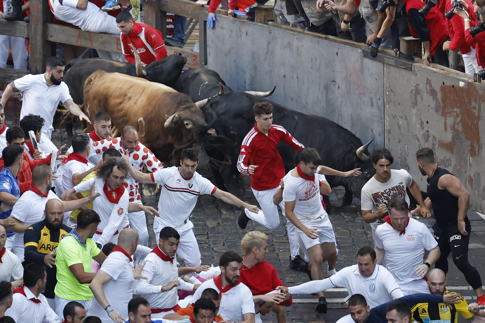 Los mozos son perseguidos por toros de la ganadería gaditana de La Palmosilla durante el séptimo encierro de los Sanfermines 2025 este domingo en Pamplona. EFE/Villar López