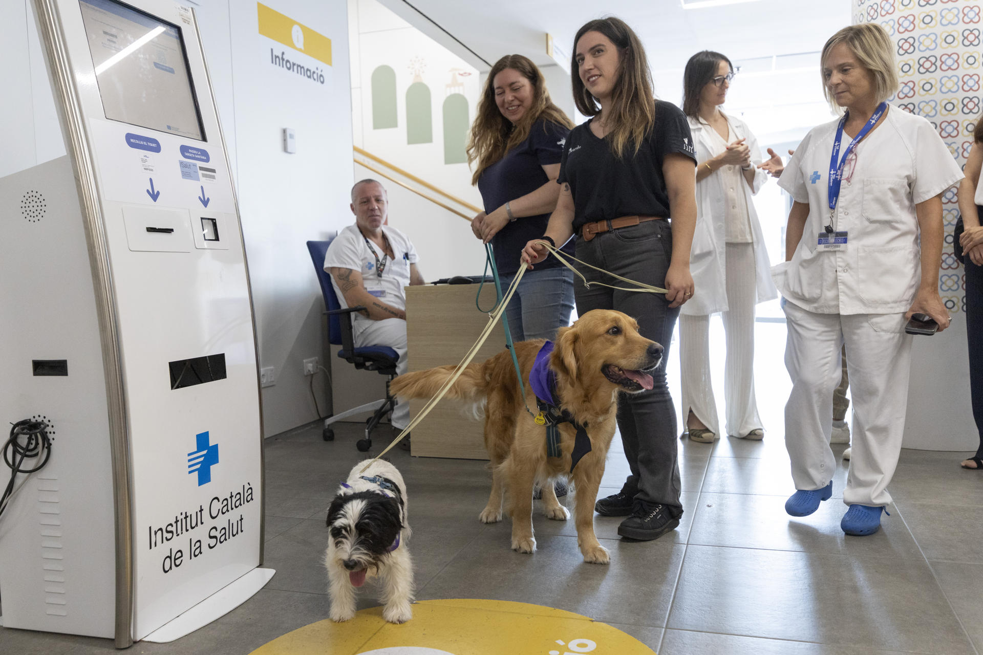 El Hospital Vall d’Hebron de Barcelona ha presentado este viernes su tratamiento para trastornos de salud mental en niños y adolescentes a través de terapia asistida con perros, unos animales que les ayudan a relacionarse y regular emociones durante su ingreso. EFE/Marta Pérez