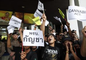 Nonthaburi (Thailand), 07/07/2025.- Marijuana advocates hold banners and shout slogans during a rally protesting the government's restrictions on cannabis use at the Public Health Ministry in Nonthaburi province, on the outskirts of Bangkok, Thailand, 07 July 2025. Thailand's Public Health Ministry has officially restricted cannabis use to medical purposes only, issuing new regulations that limit sales to authorized doctors with prescriptions, ban automated and online sales, prohibit advertising, and establish no-sale zones to prevent recreational misuse. The Public Health Minister stated that the government currently has no timeline for reclassifying marijuana as a narcotic. (Protestas, Tailandia) EFE/EPA/RUNGROJ YONGRIT