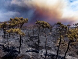 Fotografía aérea de un incendio forestal el pasado sábado, en la zona rural de Latakia (Siria). EFE/EPA/ Ahmad Fallaha