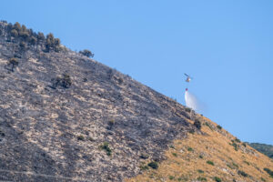 Vista de los daños producidos por el incendio forestal declarado en el paraje San Pascual de Ibi (Alicante). EFE / Pablo Miranzo