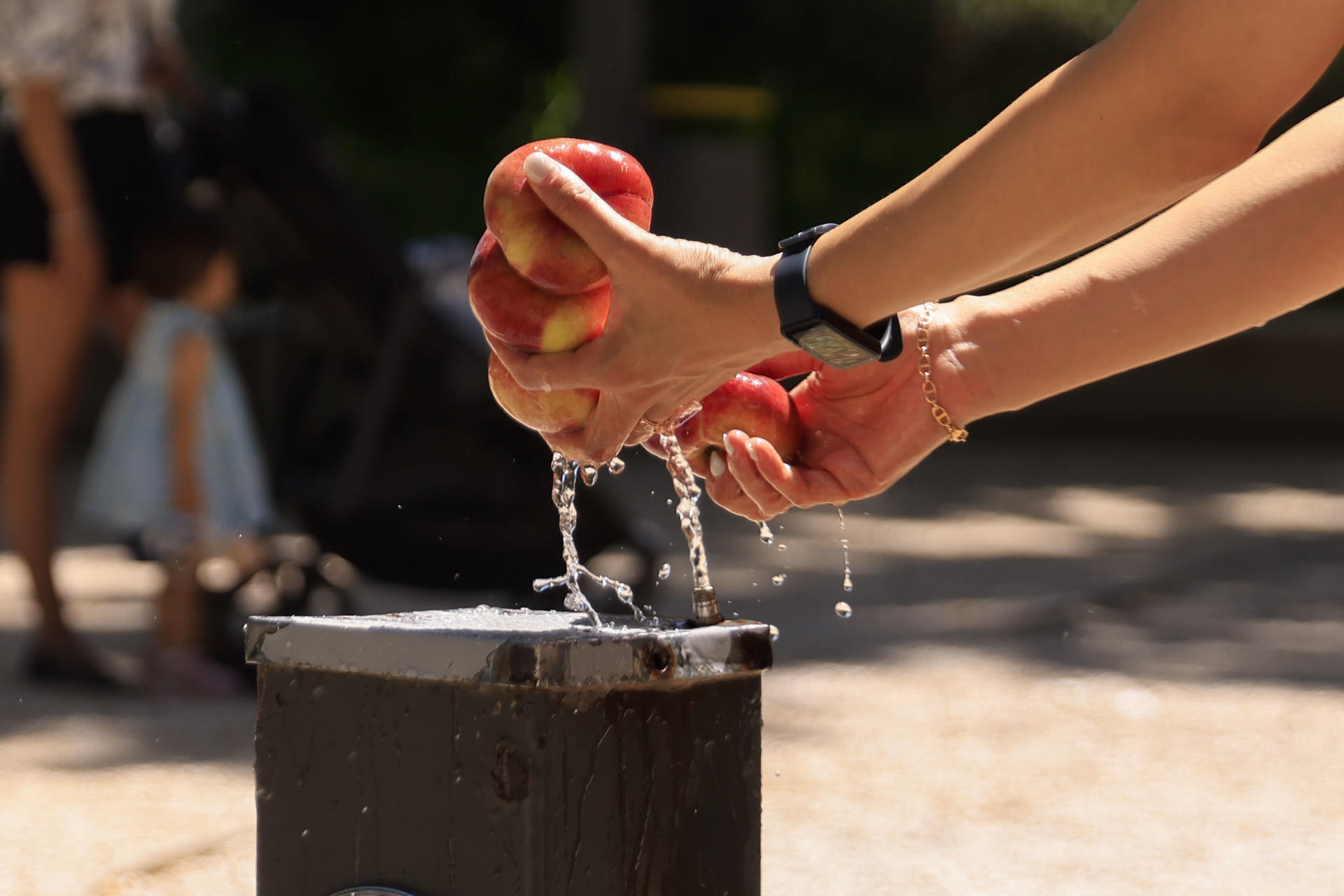 Una chica lava varias piezas de fruta en una fuente en la Plaza de España este martes en Madrid. El calor será intenso desde este martes en casi todo el territorio debido a la presencia de una masa de aire muy cálido que dará un alivio entre el viernes y el sábado, pero que repuntará el domingo, con temperaturas significativamente altas hoy en el centro y mitad sur peninsular así como en Canarias. EFE/ Pablo R. Seco