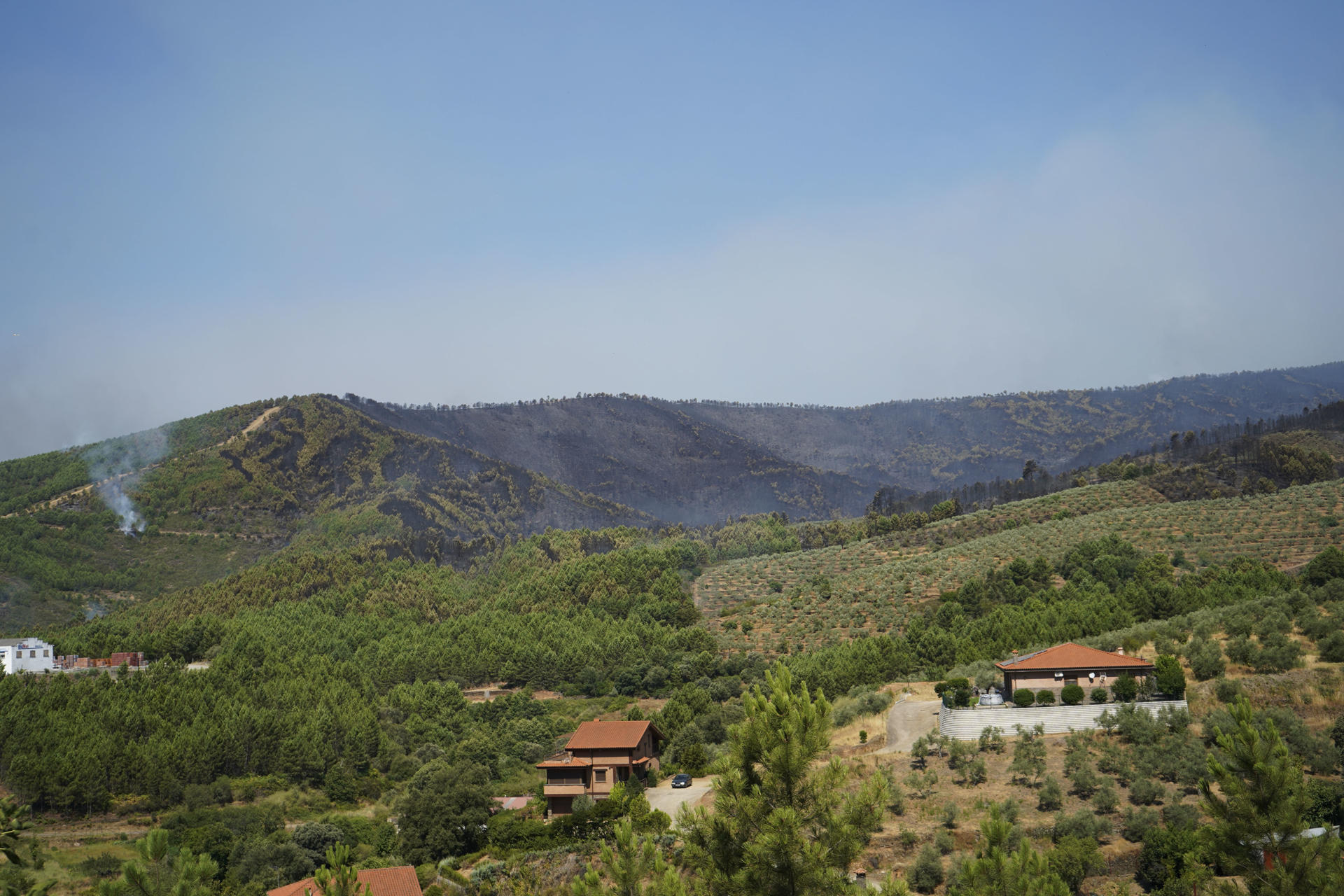 El incendio en Caminomorisco, en la comarca cacereña de Las Hurdes, ha quemado ya unas 2.500 hectáreas de arbolado con una longitud de 20 kilómetros y, aunque se ha conseguido estabilizar en el 30 por ciento del flanco sur, su control dependerá de la evolución del viento a lo largo de la jornada. EFE/EDUARDO PALOMO
