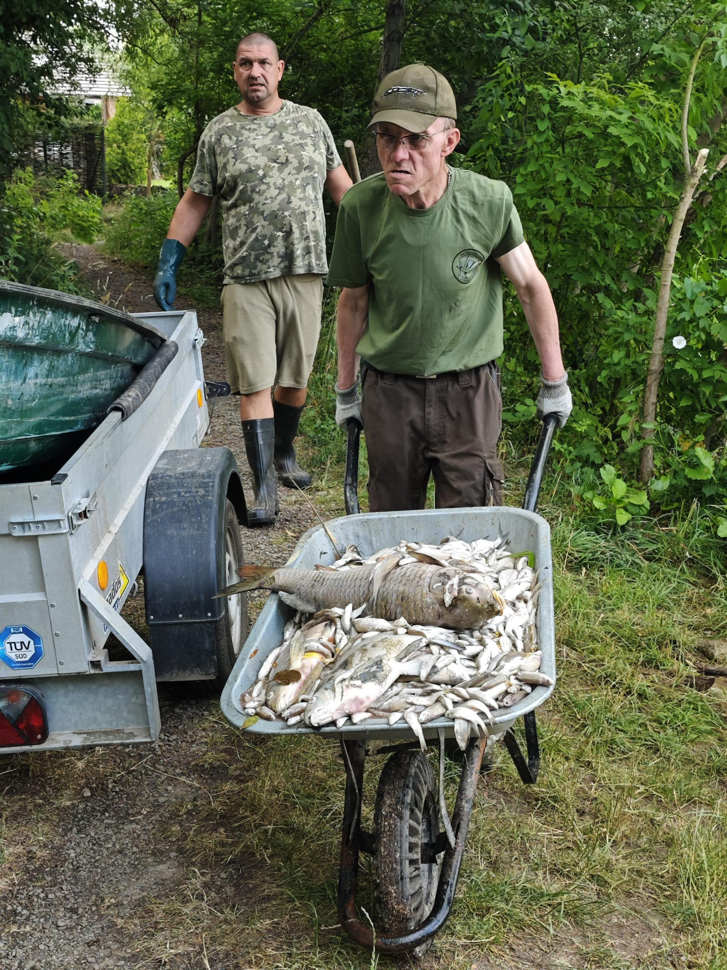 Peces muertos a causa de la combinación de las altas temperaturas con la contaminación por sedimentos, que han sido recogidos en el lago Modlanská, al norte de la República Checa. La ola de calor en la República Checa ha causado desde el fin de semana la muerte de casi toda la población piscícola del lago Modlanska, al norte del país, donde ya se han recogido más de once toneladas de pescado muerto. EFE/ Asociación Checa de Pesca. Asociación Territorial de Bohemia del Norte/SOLO USO EDITORIAL/SOLO DISPONIBLE PARA ILUSTRAR LA NOTICIA QUE ACOMPAÑA (CRÉDITO OBLIGATORIO)