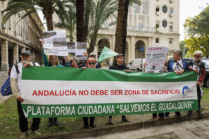 Imagen de la protesta convocada por Ecologistas en Acción en Andalucía y Greenpeace el pasado 4 de marzo coincidiendo con el juicio que se celebra por la adjudicación de los derechos de explotación de la mina de Los Frailes en Aznalcóllar, ante la Audiencia de Sevilla. EFE/ Julio Muñoz