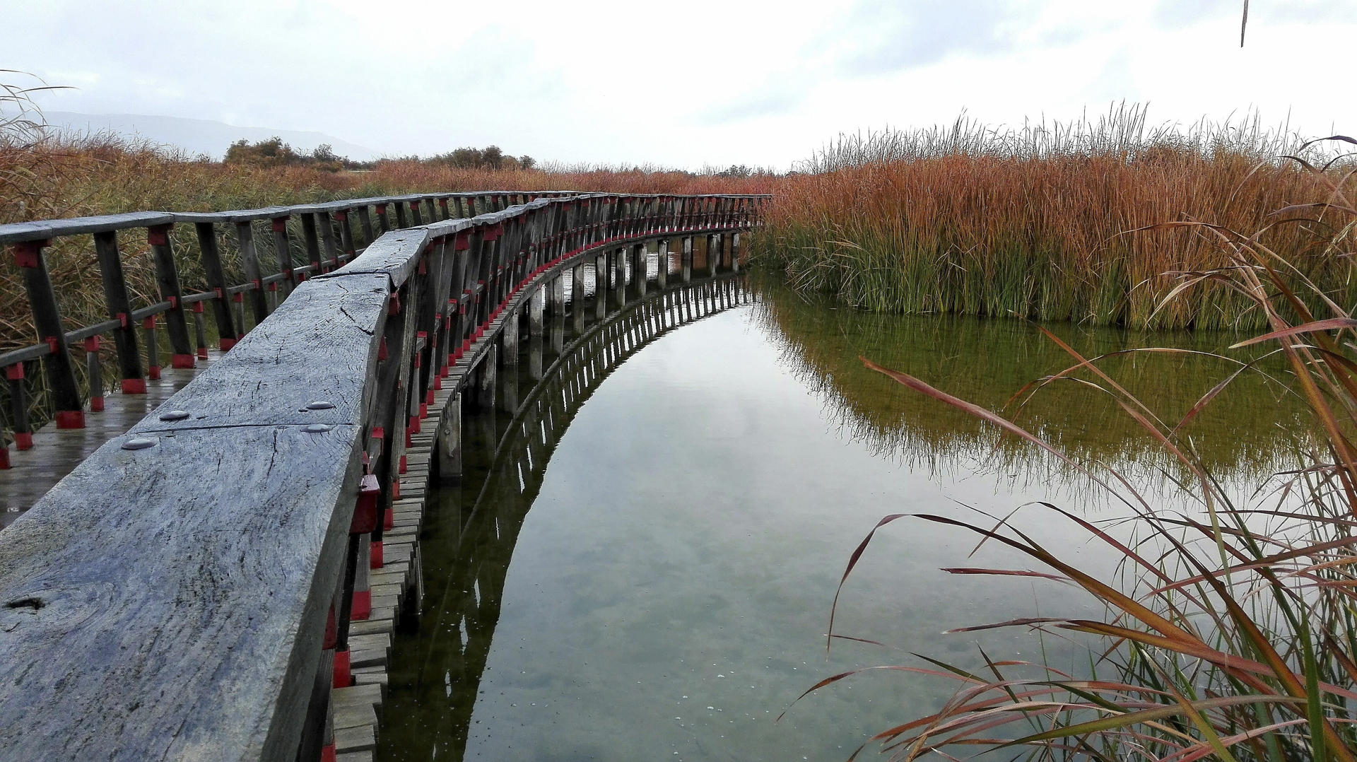Imagen de archivo del Parque Natural de Las Tablas de Daimiel, Ciudad Real, ejemplo de ecoturismo en España. EFE/Raúl Casado