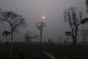 Fotografía que muestra la afectación por incendios de una zona del Parque Estatal Guajará Mirimen Nova Mamoré (Brasil), en una fotografía de archivo. EFE/ Isaac Fontana