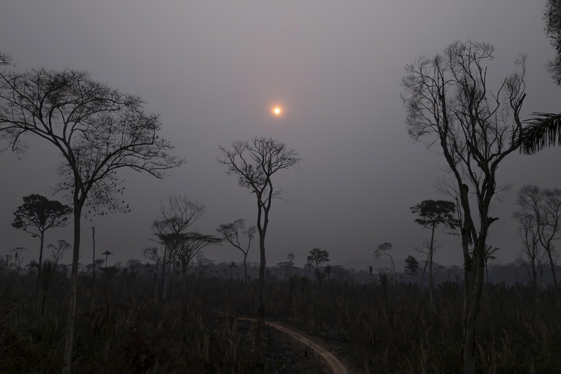 Fotografía que muestra la afectación por incendios de una zona del Parque Estatal Guajará Mirimen Nova Mamoré (Brasil), en una fotografía de archivo. EFE/ Isaac Fontana