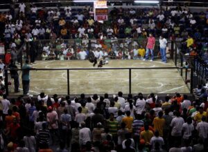 Fotografía de archivo, tomada el 29/01/08, que muestra a espectadores en una pelea de gallos en el distrito Quezon de los suburbios de Manila, Filipinas. EFE/Rolex Dela Pena