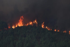 Incendio forestal declarado en las inmediaciones de A Cañiza. Los servicios de extinción lidian este miércoles en Galicia con hasta cinco incendios forestales de importante tamaño que afectan a las provincias de Lugo, Ourense y Pontevedra y que, de forma acumulada, han quemado más de 155 hectáreas de terreno. EFE/Sxenick