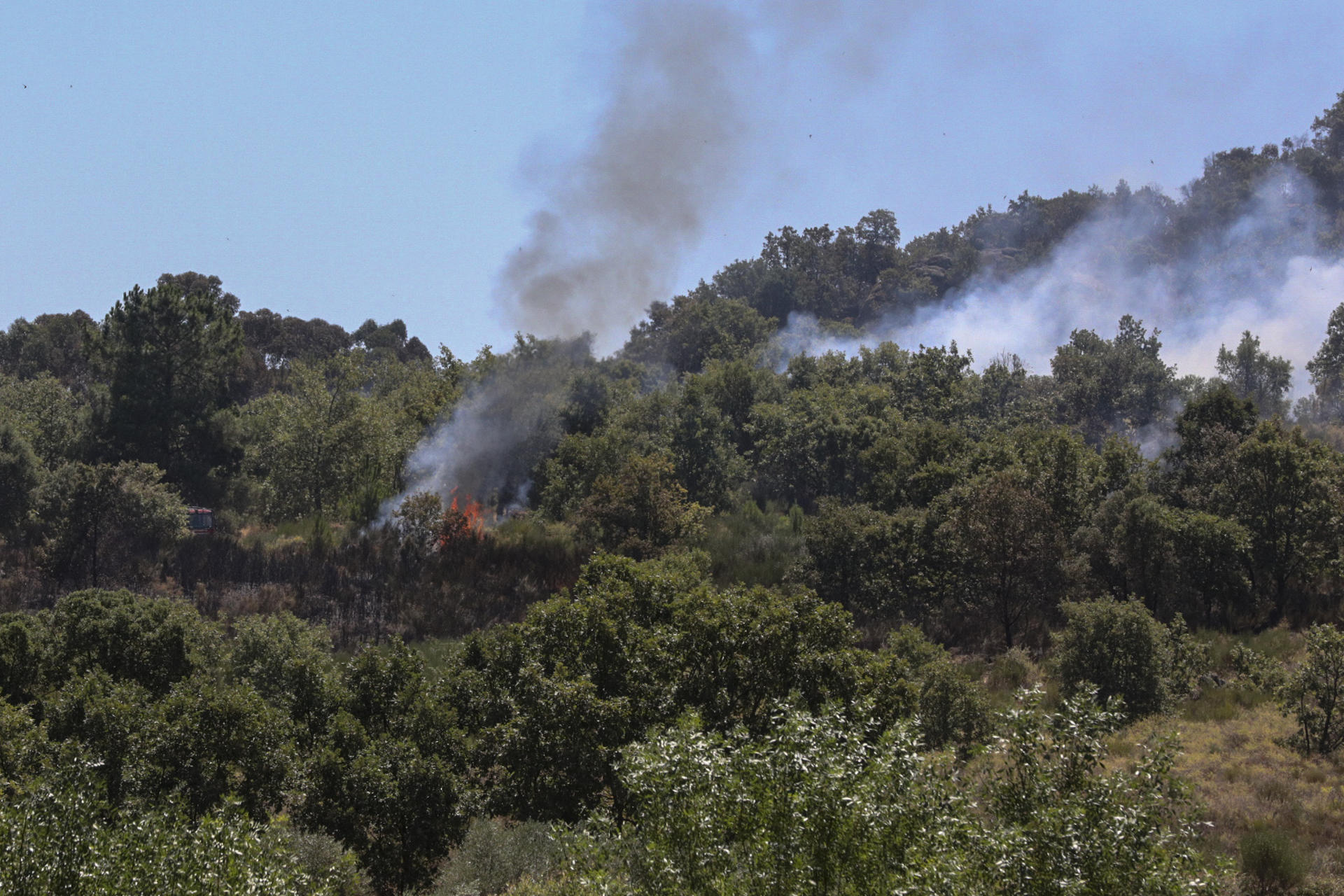 Zona boscosa ardiendo por el incendio de la localidad portuguesa de Penamacor, próxima a Cáceres, en el que trabajan 394 efectivos y 139 vehículos para lograr su extinción. EFE/ Carlos García