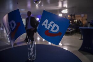 Banderas del partido ultraderechista alemán AFD en un acto público. EFE/EPA/MARTIN DIVISEK