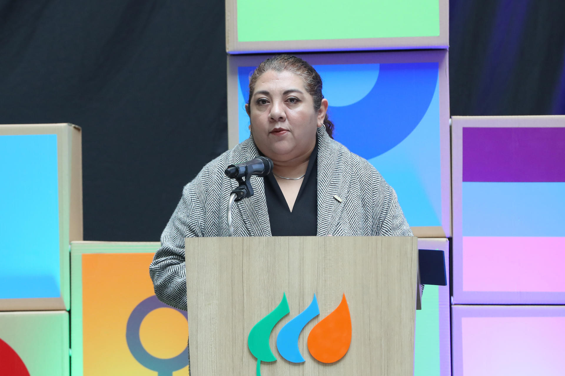 La directora general de Ayuda en Acción en México, Tania Rodríguez, habla durante una rueda de prensa este lunes, en Ciudad de México (México). EFE/ Mario Guzmán