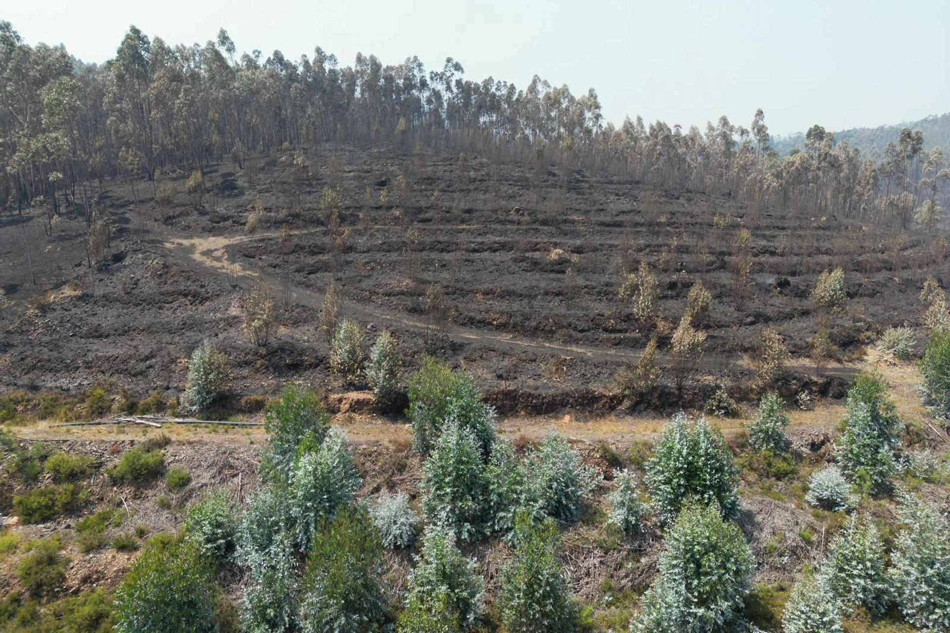 Parajes asolados por el fuego del pueblo de Canelas, en el concejo luso de Arouca. EFE/Carlos García
