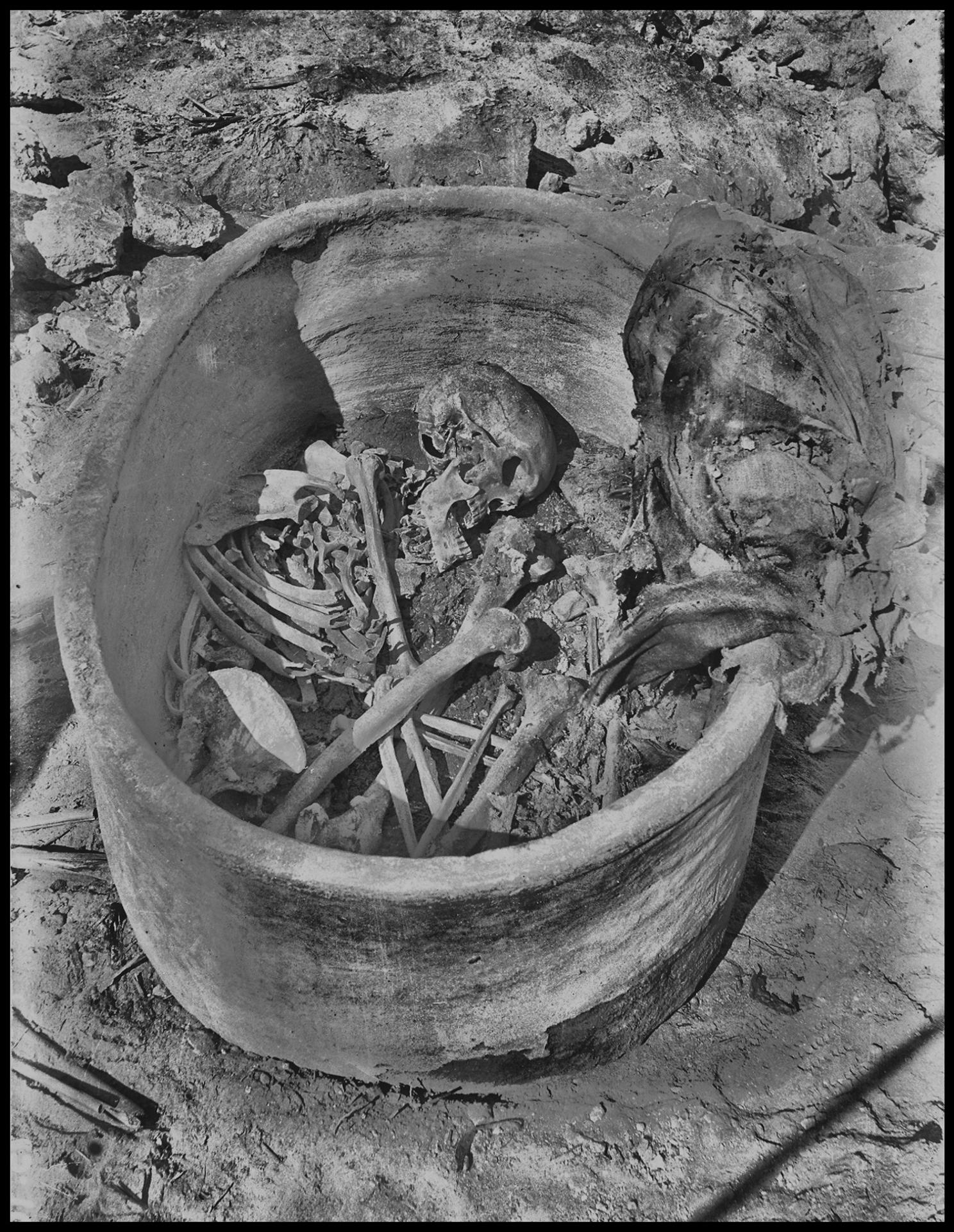 Ataúd de cerámica y restos arqueológicos del individuo Nuwayrat, tal y como fueron descubiertos en 1902. Imagen cedida por el Museo de Arqueología de Garstang, Universidad de Liverpool. Como en Morez, A. (2025) Naturaleza. EDITORIAL SOLO USO