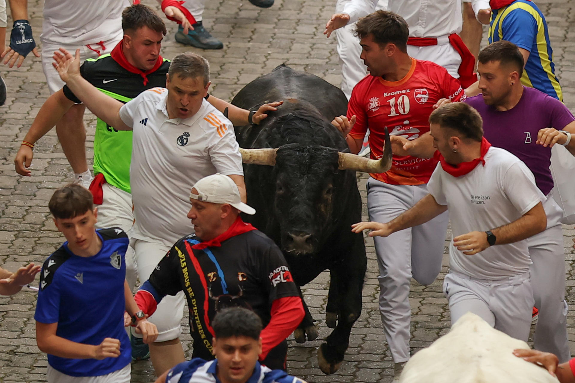 Mozos son perseguidos por uno de los toros de la ganadería gaditana de Fuente Ymbro en el tramo final que desemboca en el callejón de la Plaza de Toros de Pamplona, durante el primer encierro de los Sanfermines 2025, este lunes en Pamplona. EFE/ J.P. Urdiroz