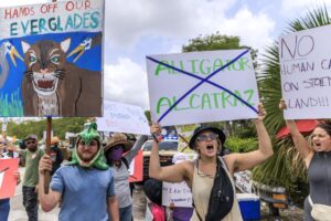 Fotografía de archivo en donde activistas asisten a la protesta 'Detener Alligator Alcatraz' frente a la entrada del Aeropuerto de Entrenamiento y Transición de Dade-Collier en Ochopee, Florida, EE.UU. EFE/CRISTOBAL HERRERA-ULASHKEVICH