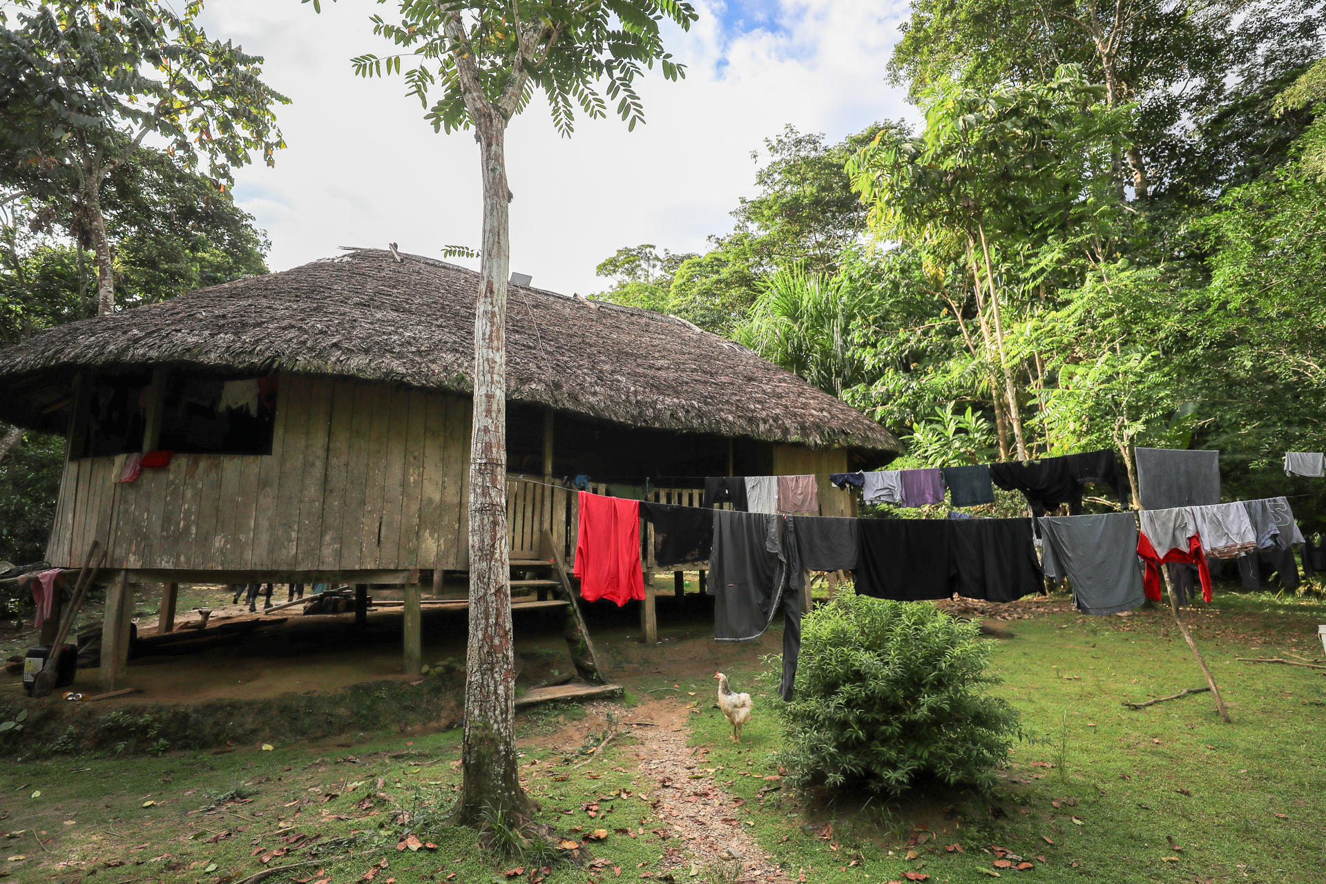 Fotografía del 26 de junio de 2025 de una casa de la comunidad indígena en Sarayaku (Ecuador). EFE/JOSÉ JÁCOME
