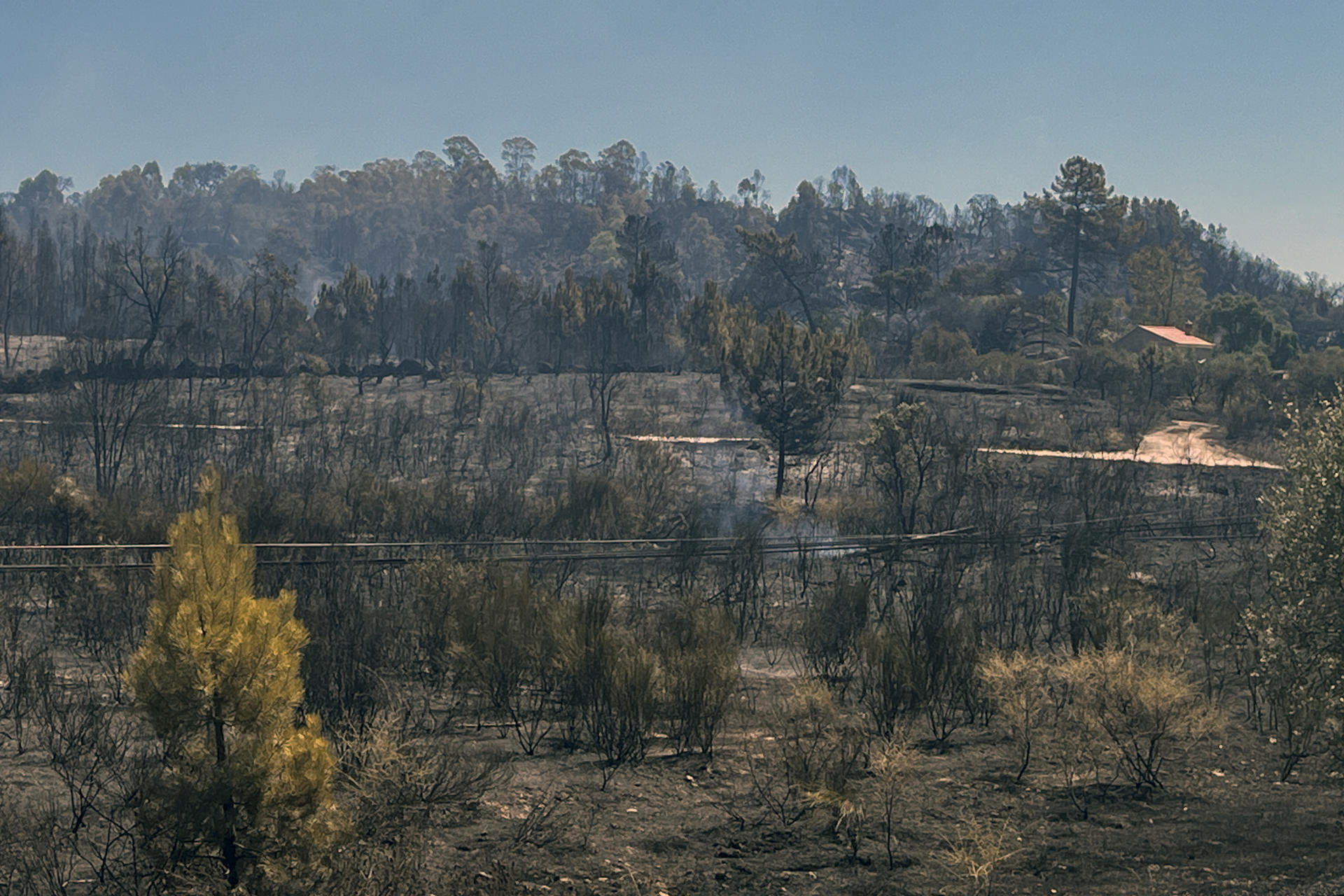 Área calcinada por el incendio de la localidad portuguesa de Penamacor, próxima a Cáceres, en el que trabajan 394 efectivos y 139 vehículos para lograr su extinción. EFE/ Carlos García