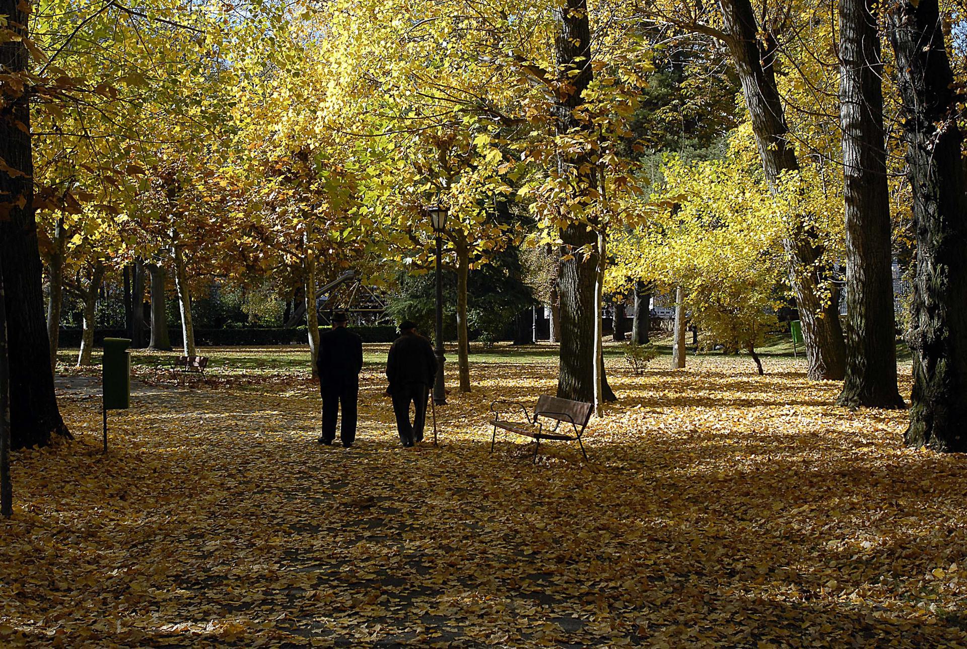 En la imagen de archivo, dos ancianos pasean por un parque. EFE/J.Casares