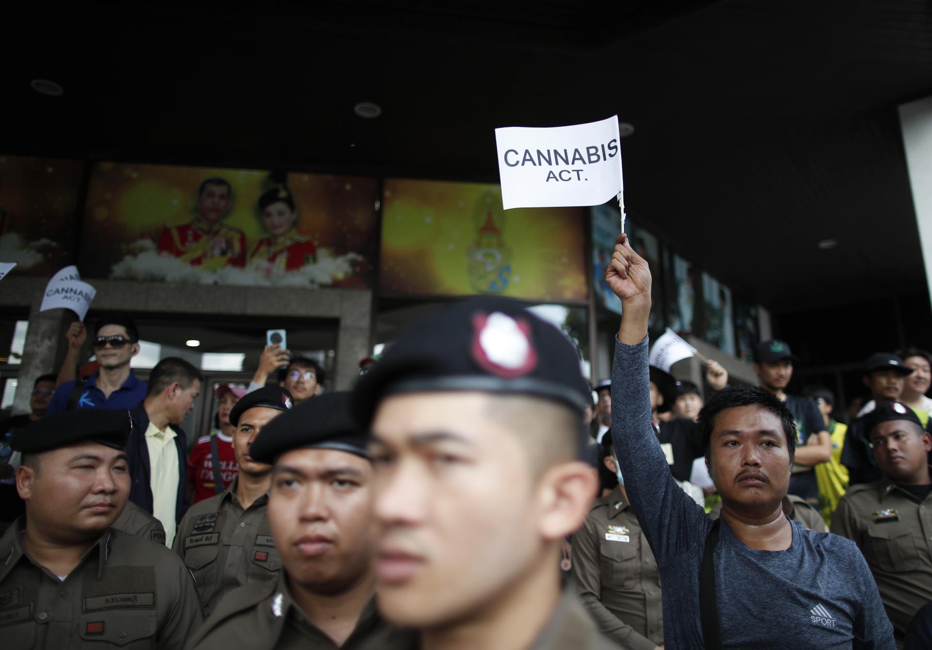 Nonthaburi (Thailand), 07/07/2025.- A marijuana advocate holds a banner calling for cannabis law reform next to police officers during a rally protesting the government's restrictions on cannabis use at the Public Health Ministry in Nonthaburi province, on the outskirts of Bangkok, Thailand, 07 July 2025. Thailand's Public Health Ministry has officially restricted cannabis use to medical purposes only, issuing new regulations that limit sales to authorized doctors with prescriptions, ban automated and online sales, prohibit advertising, and establish no-sale zones to prevent recreational misuse. The Public Health Minister stated that the government currently has no timeline for reclassifying marijuana as a narcotic. (Protestas, Tailandia) EFE/EPA/RUNGROJ YONGRIT