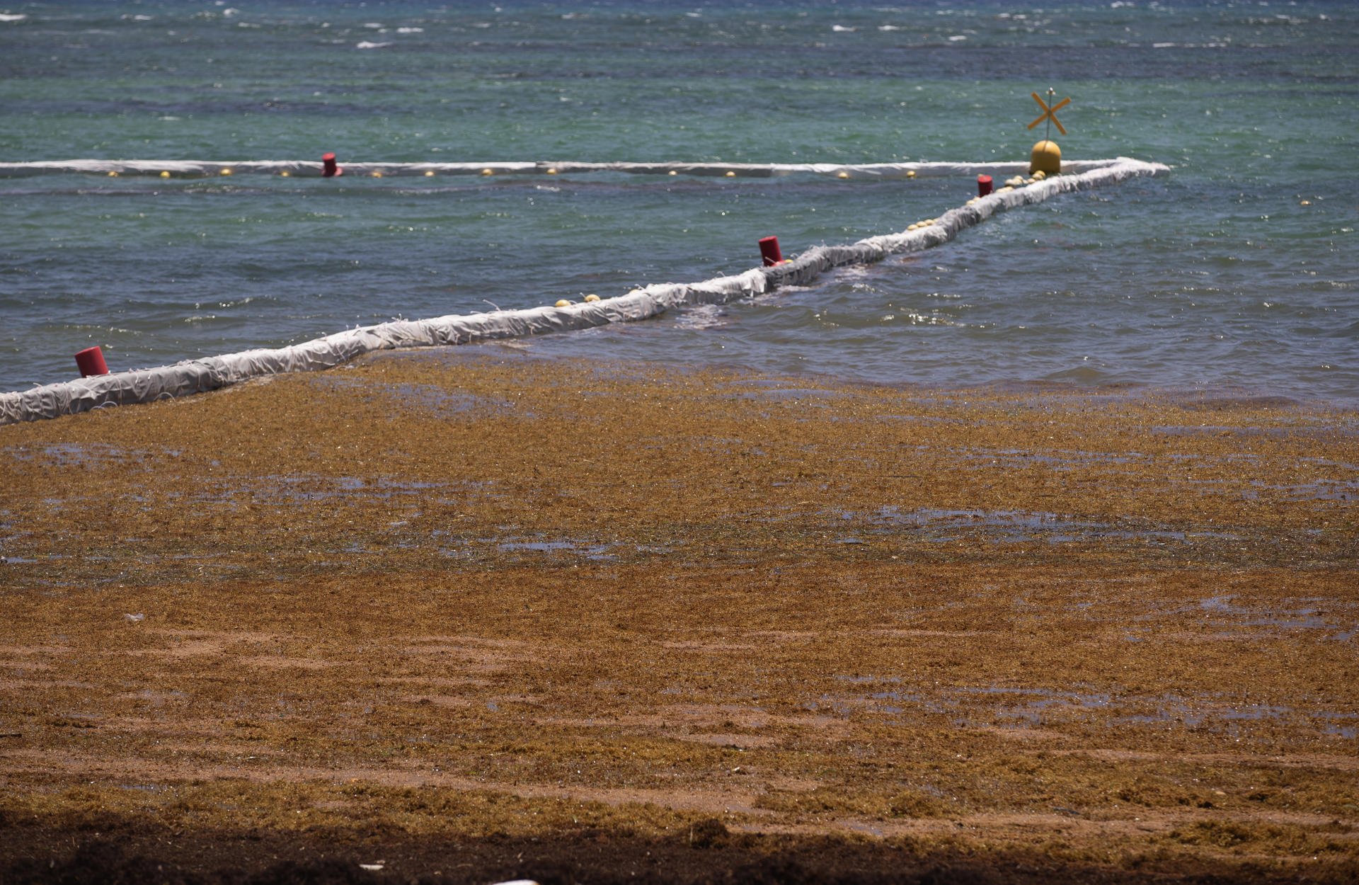 Fotografía de un área cerca a la playa con barreras instaladas para evitar la aglomeración el sargazo, el 9 de julio de 2025 en Punta Cana (República Dominicana). EFE/Orlando Barría
