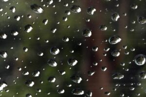 EFE/EPA/HARISH TYAGI