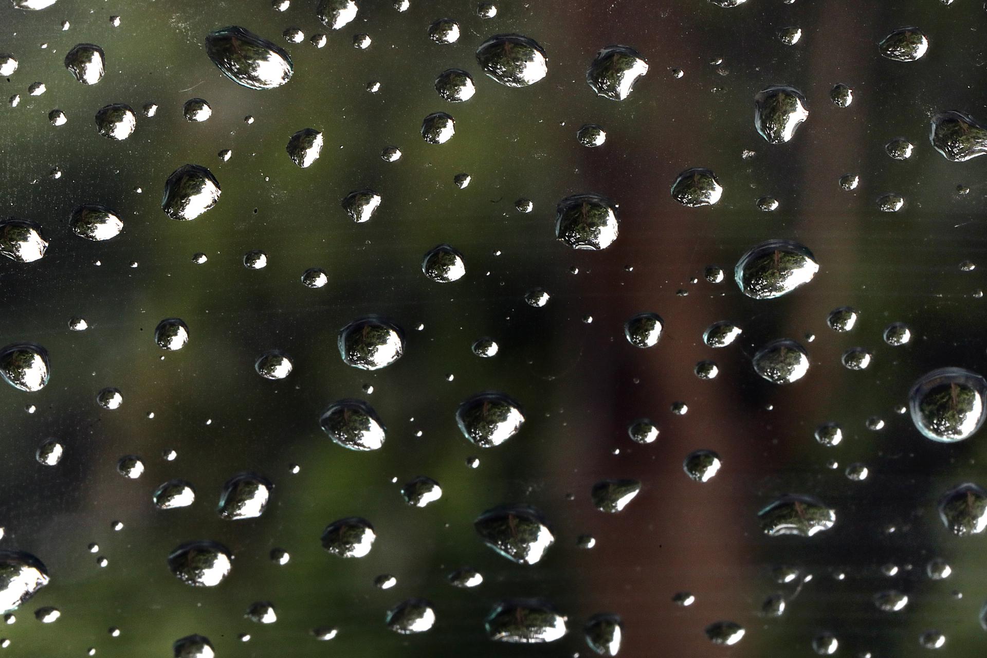 EFE/EPA/HARISH TYAGI
