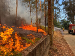 Imagen del incendio forestal que se ha decretado este lunes en la parroquia de Pesqueira, en el municipio pontevedrés de Salvaterra de Miño. EFE/ Sxenick