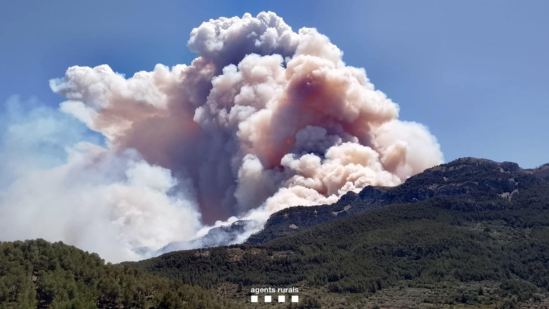 El incendio forestal de Paüls (Tarragona) ya afecta a una superficie de unas 150 hectáreas, el 80 % dentro del Parque Natural de Els Ports, según datos provisionales de los Agentes Rurales, y a causa del fuego, la carretera TV-3541 entre Paüls y Xerta, está cortada en ambos sentidos. EFE/Agents Rurals ***SÓLO USO EDITORIAL/SOLO USO PERMITIDO PARA ILUSTRAR LA NOTICIA QUE APARECE EN EL PIE DE FOTO*** (CRÉDITO OBLIGATORIO)