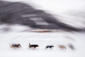 Archivo/EFE/EPA/CHRISTIAN BRUNA