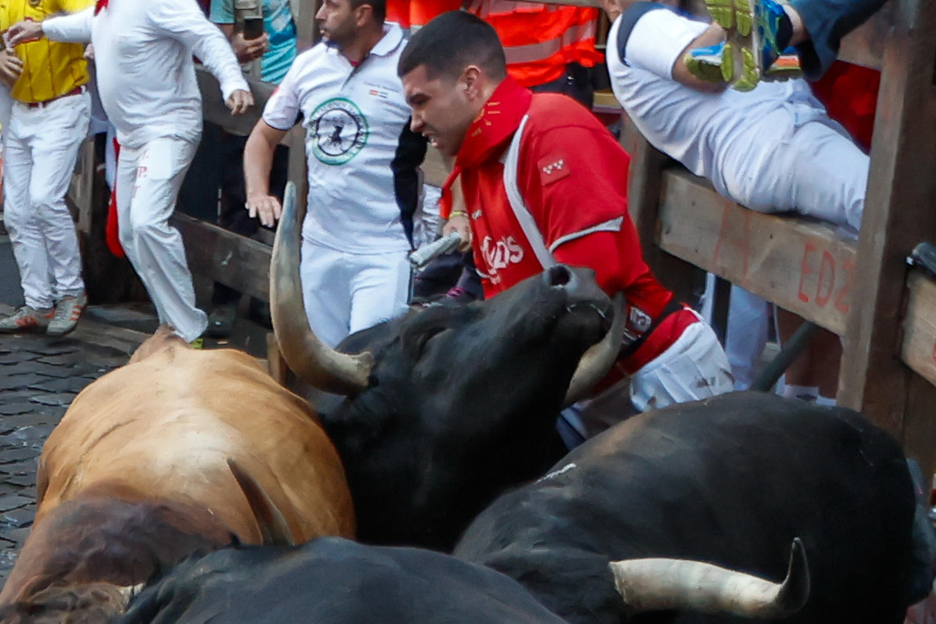 Uno de los mozos es embestido por uno de los toros de la ganadería gaditana de La Palmosilla durante el séptimo encierro de los Sanfermines 2025 este domingo en Pamplona. EFE/Jesús Diges