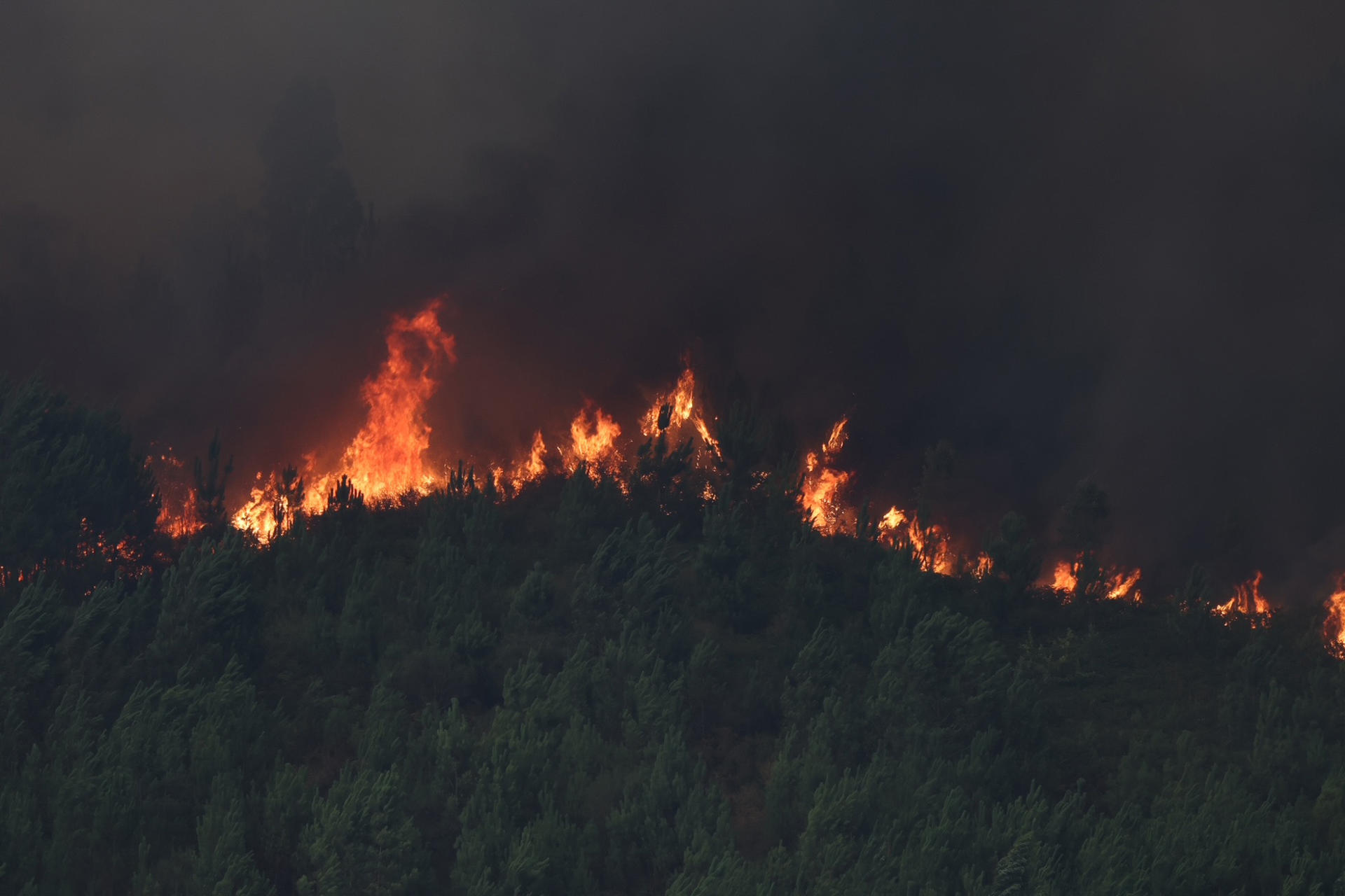 Incendio forestal declarado en las inmediaciones de A Cañiza. EFE/Sxenick
