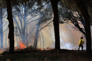 Efectivos del Infoca y del Consorcio Provincial de Bomberos trabajan en la extinción de un incendio en Chiclana de la Frontera (Cádiz) que ha obligado al desalojo preventivo de algunas viviendas, según han informado fuentes del Consorcio Provincial de Bomberos.EFE/Román Ríos