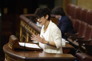 La portavoz del PNV, Maribel Vaquero, interviene durante el pleno en el Congreso de los Diputados, este miércoles. EFE/ Mariscal
