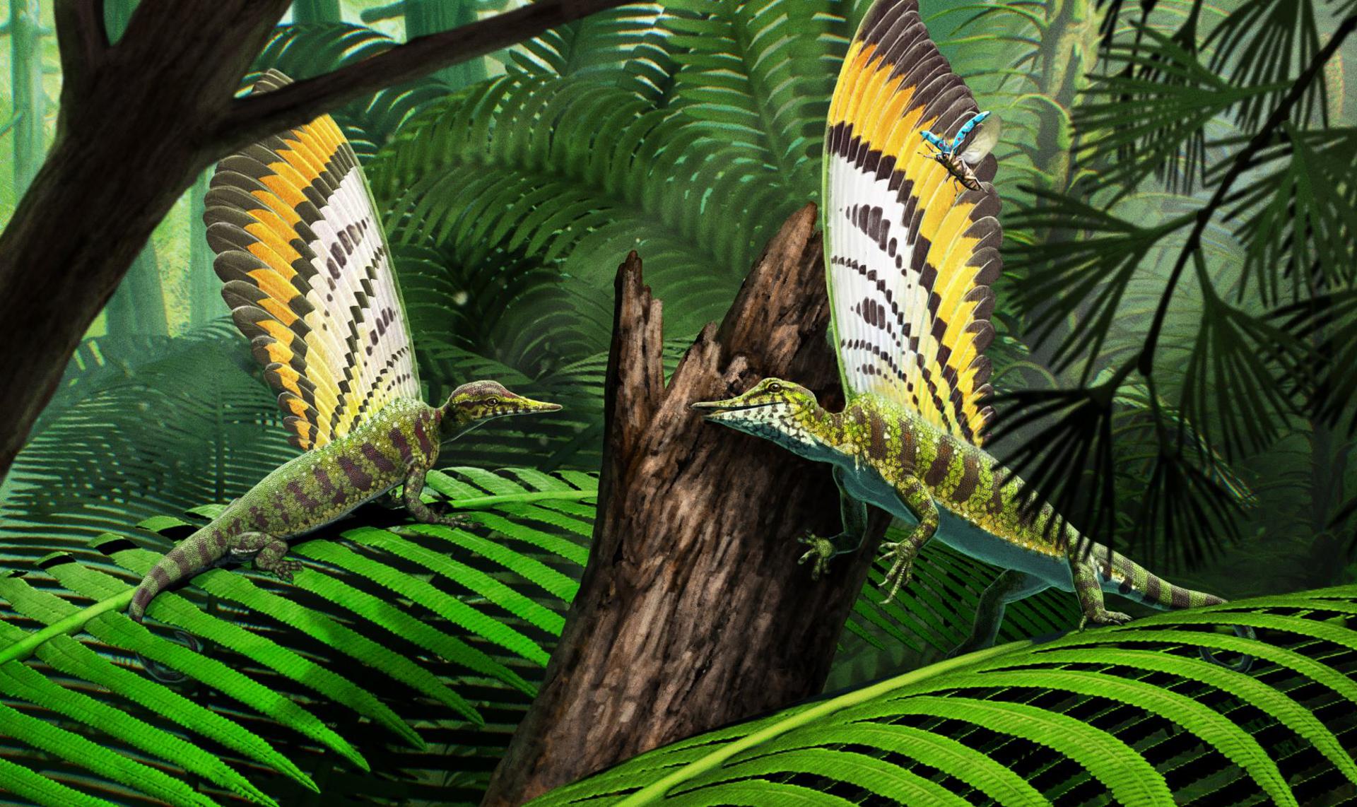Reconstrucción e ilustración de Mirasaura en su entorno natural cazando insectos. Crédito: Gabriel Ugueto. Imagen facilitada por el Museo Estatal de Historia Natural de Stuttgart. Solo uso editorial.